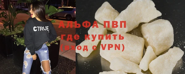 прущие грибы Протвино