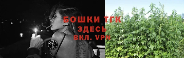 прущие грибы Протвино