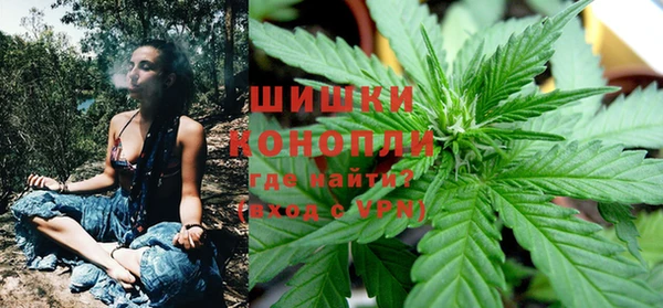 прущие грибы Протвино
