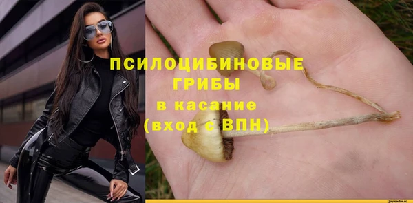 прущие грибы Протвино