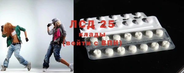 прущие грибы Протвино