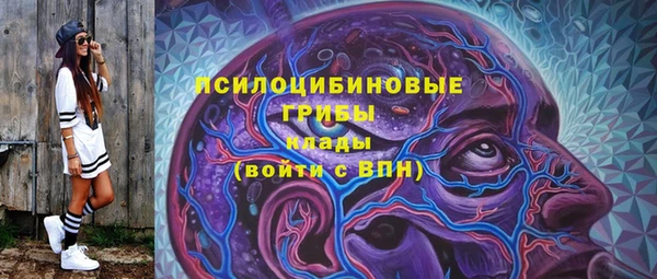 прущие грибы Протвино