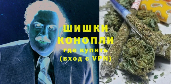 прущие грибы Протвино