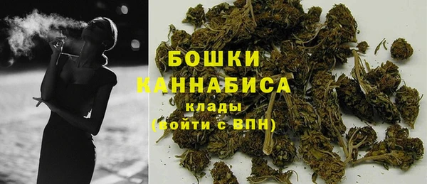 прущие грибы Протвино