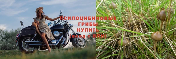 a pvp Приозерск
