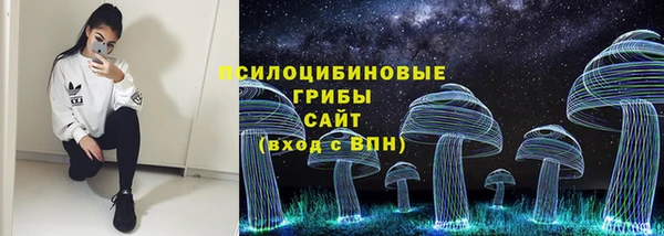 прущие грибы Протвино