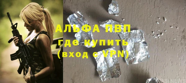 прущие грибы Протвино