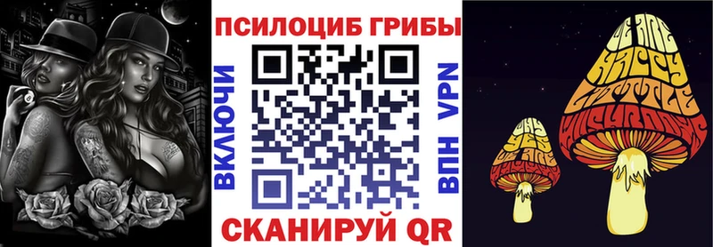Галлюциногенные грибы Psilocybine cubensis  наркота  Тотьма 